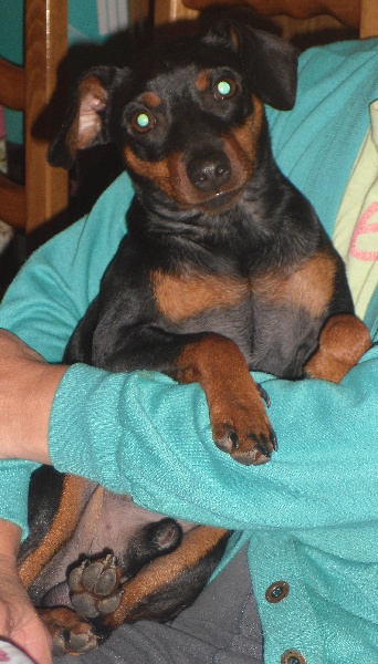 photos